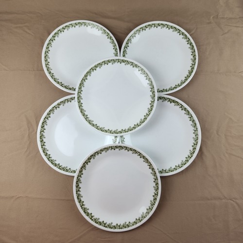 6er Set Corelle Spring Blossom Essteller 10 1/4" Crazy Daisy Grün Blumen C