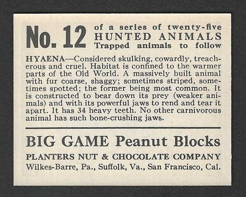 1933 R71 Planters Nut Card - Big Game Hunted Animals Series - #12 Hyaena - Picture 2 of 2