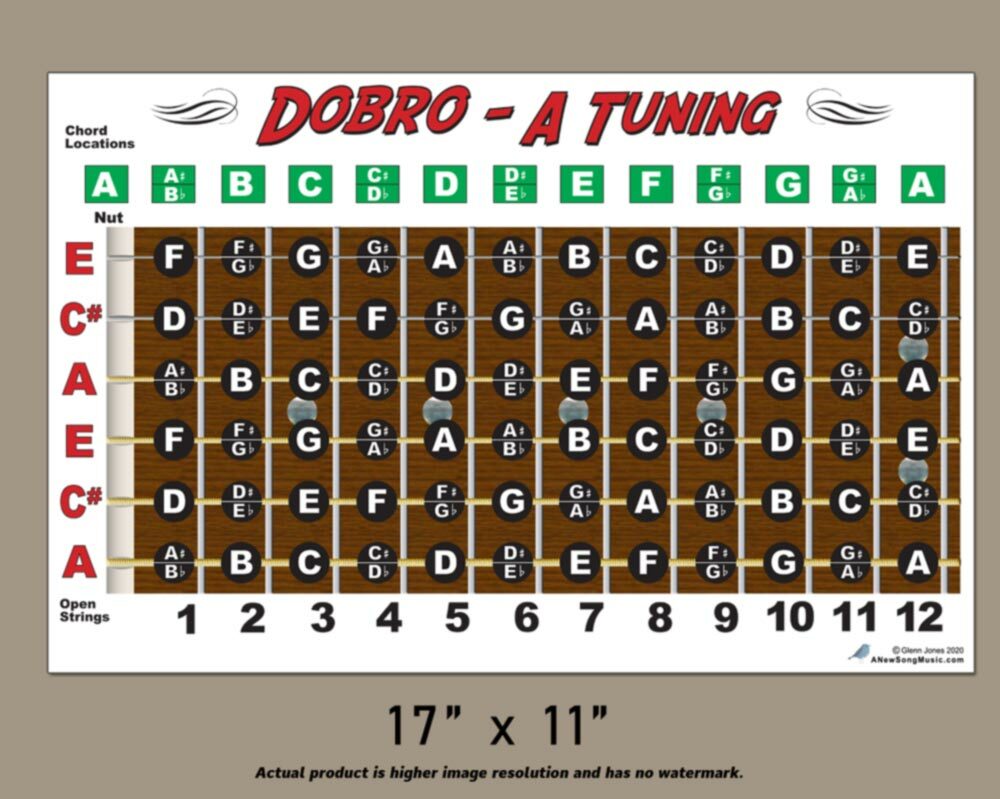 Dobro Fretboard Chart Resonator Guitar Poster A Tuning ALT
