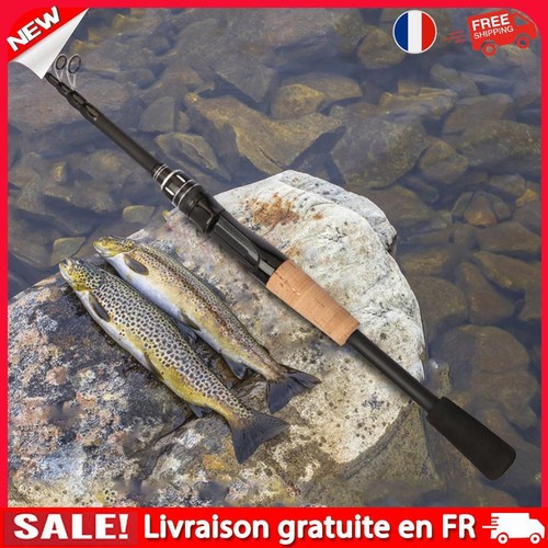Canne à pêche télescopique Baitcasting pour leurre, pour truite, carpe (poignée