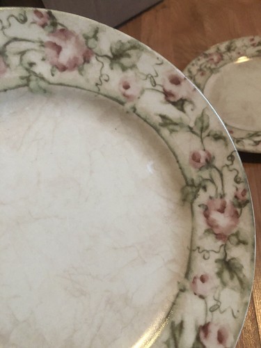 222 FIFTH SAVANNAH CHERI BLUM 2 DINNER PLATE/2 SALAD PLATE/3 CUP/3 SAUCER=10PC - Picture 5 of 8