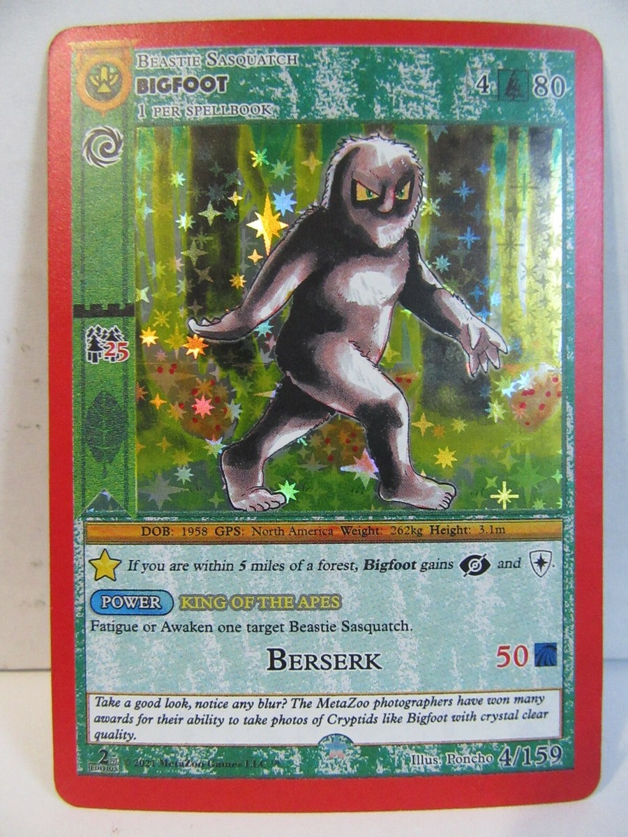 ビック フット BGS big foot