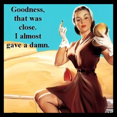 Goodness that was Close I Almost Gave a Damn Lady Sarcastic Make-up MAGNET