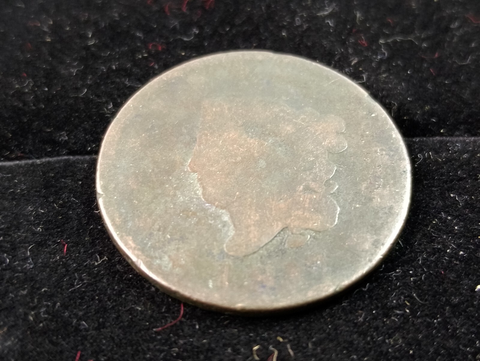 Picture 1 of 6