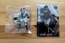 [OBO/MSG]  Hanshin Tigers Ryutaro Umeno Card Acrylic St  Set