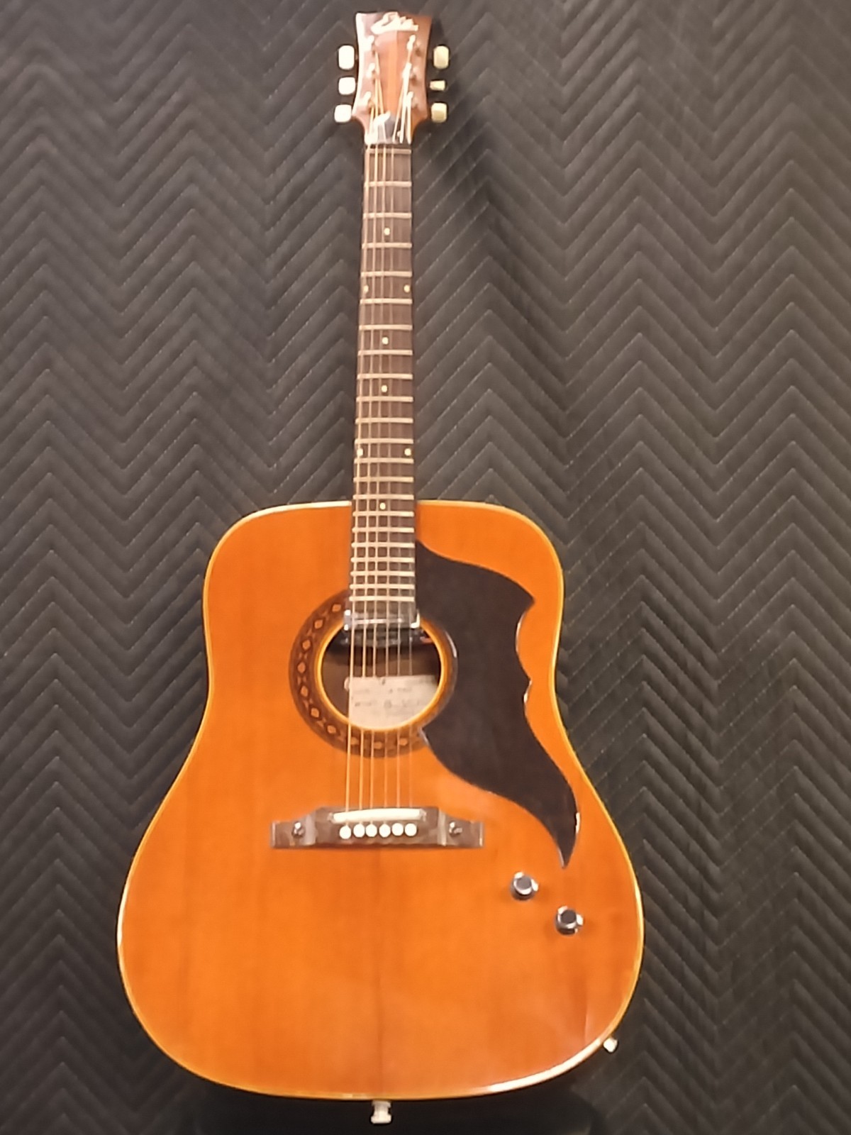 Chitarra Acustica Vintage EKO RANGER VI (J 54) Amplificata