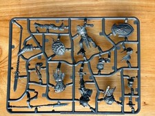 Warhammer Age Of Sigmar - Stormcast Eternal And Orruk Sprue - 2 Models