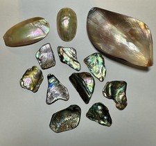 Premium Abalone & Mother of Pearl Nacre Blanks Jewellery Lot