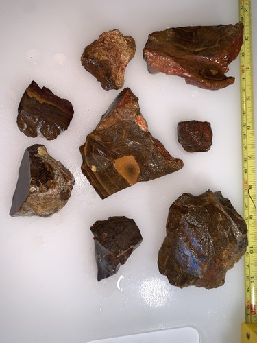 KOROIT QUEENSLAND BOULDER OPAL ROUGH PARCEL 737 Grams 8 Pieces. BO1091 - Picture 12 of 22