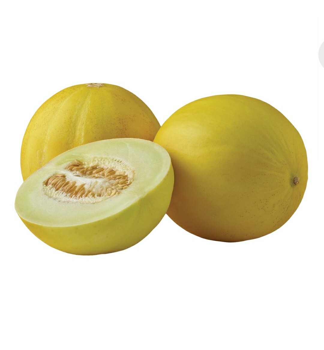 Golden "Dewlicious" Honeydew Melon Garden Fruit Vine 15+ Seeds Super Sweet! eBay