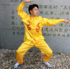 Kids Adults Tai Chi Satin Silk Clothing Kung Fu Wushu Martial Arts Dragon Suit