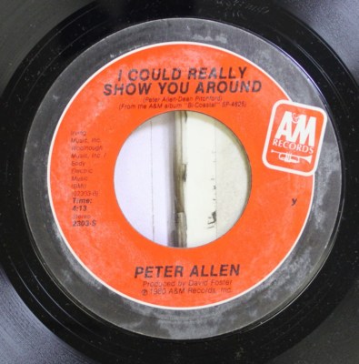 Rock NM ! 45 Peter Allen - I Could Echt Show You Um / One Step Over The Bor