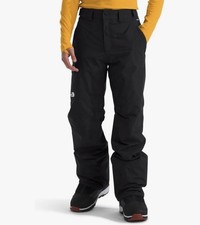 The North Face Freedom Insulated Waterproof Pants In Black - Men's Size L NWT