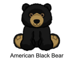Webkinz Classic American Black Bear Code Pet of the Month July 2026 POTM