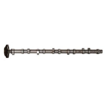 Nockenwelle BF 20100220663