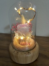 [Pre-owned] Sweet Time Pink Rose Light with bluetooth Speakers