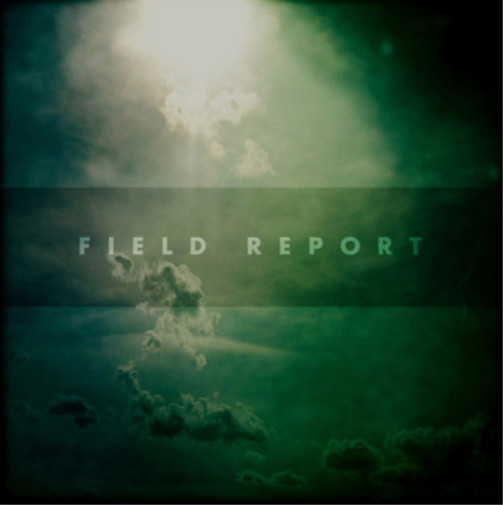 Полевой отчет Полевой отчет (CD) -альбом в цифровом формате