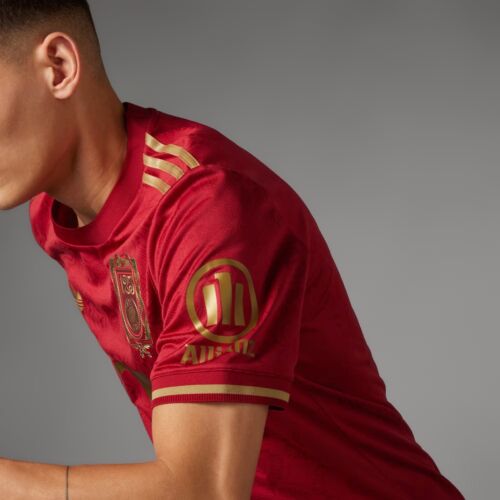 Camiseta FC Bayern Munich 125 Aniversario 25 - GRANDE✅ Listo para enviar🚚 - Imagen 4 de 7