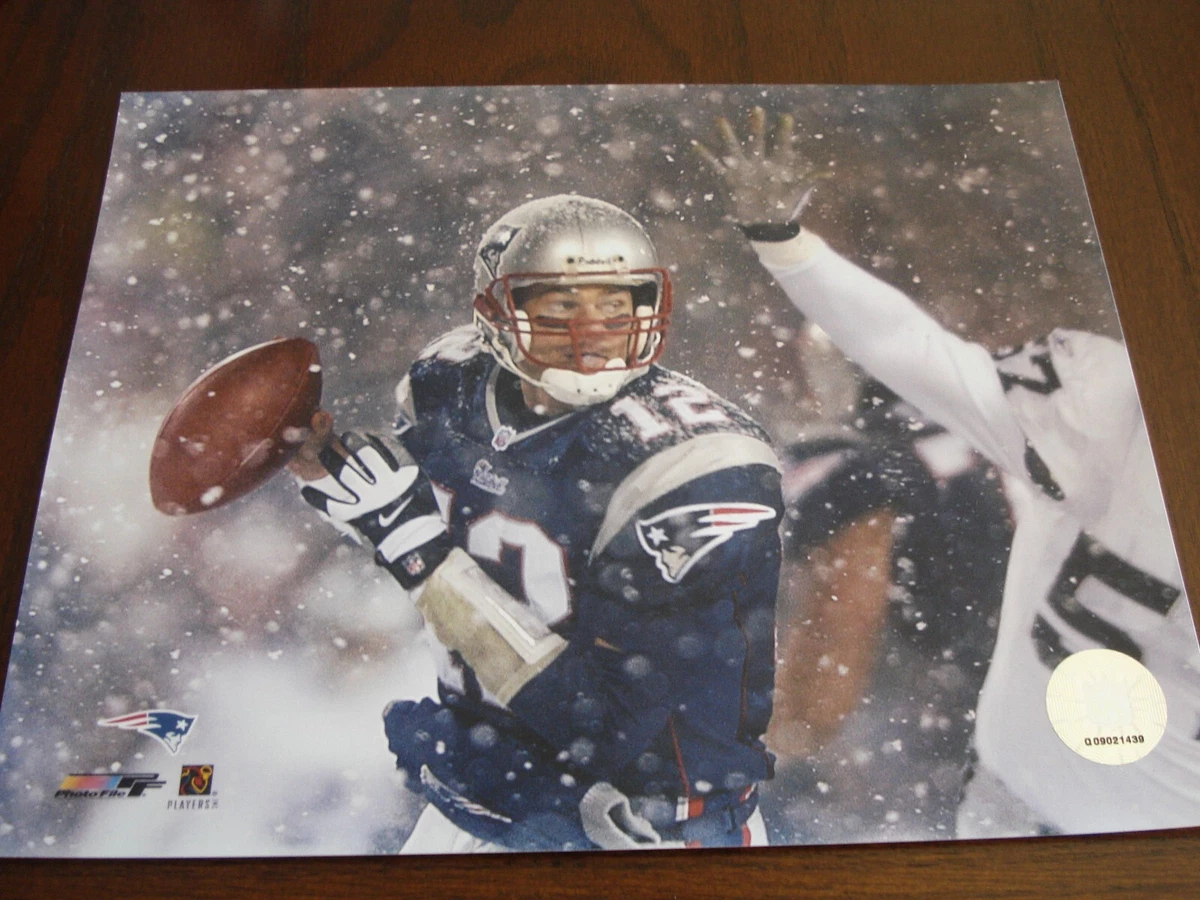 Tom sales brady ebay