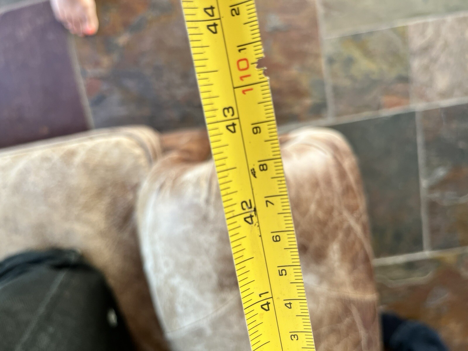 Genuine Luxury Leather 3 Seater Sofa eBay