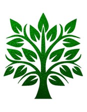 TREE OF LIFE Family Leaves Nature 8 x 10 Stencil Plastic Sheet NEW S12