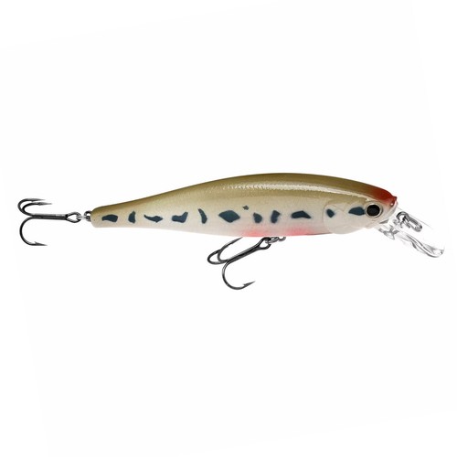 Lucky Craft Pointer SP Pêche Japon Wobbler Pro Pour Truite Barsch - Photo 27/31