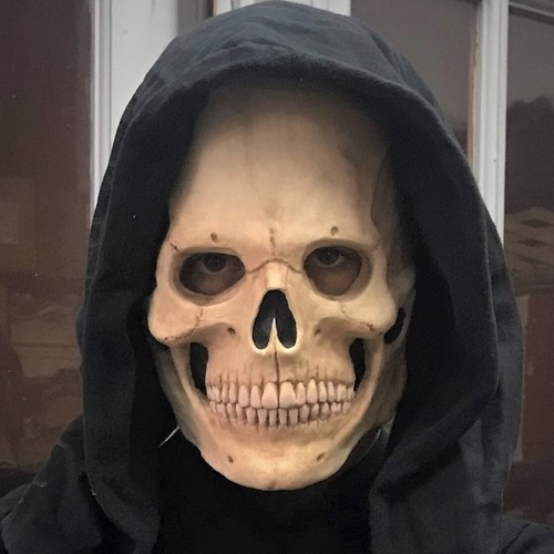 SKULL half latex MASK - Halloween CALAVERA Dark CRANEO MOTU PIRAT BONES cosplay - Picture 12 of 24