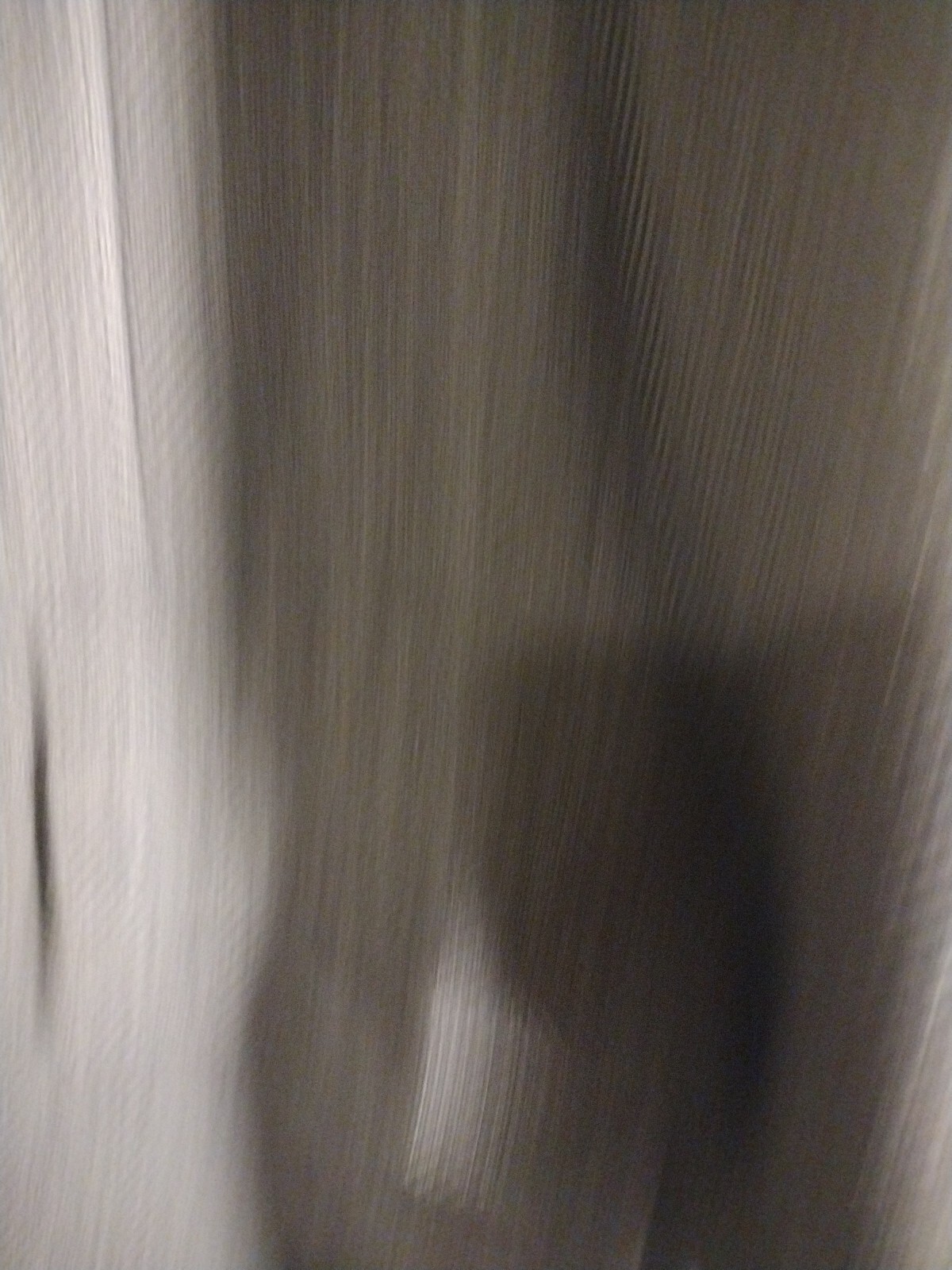 Picture 12 of 23
