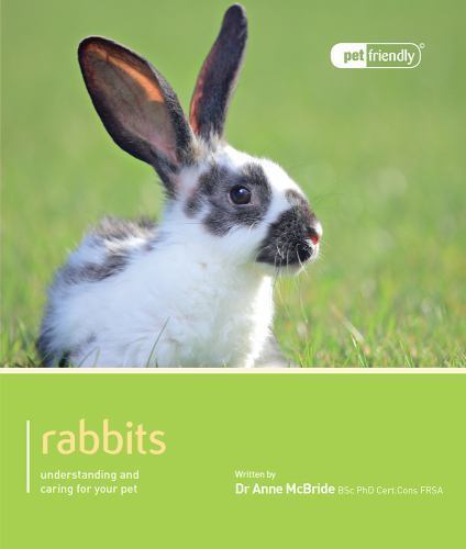 Rabbit by Anne McBride (2012, Trade Paperback)