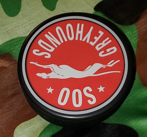 SOO WINDHUNDE GO HOUNDS ÄLTERER OHL PUCK MADE IN SLOVAKIA 🇸🇰 VEGUM MFG. - Bild 5 von 11