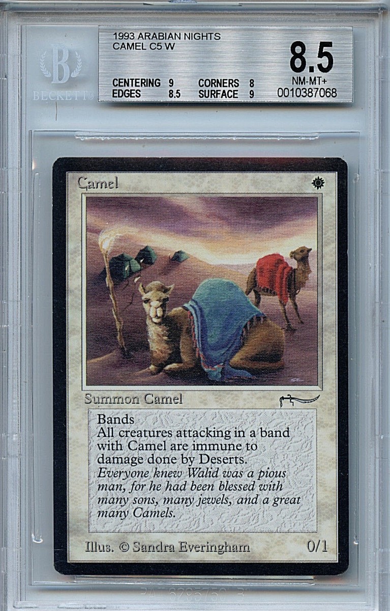MTG Arabian Nights Camel BGS 8.5 NM-MT+ Magic the Gathering