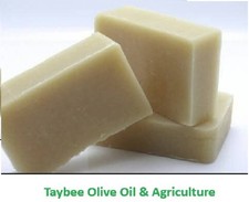 Handmade Olive Oil Soap. 250 Year Old Olive Trees Palestine Holyland 3 Pcs 140 g