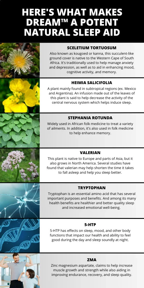 DREAM™ SLEEP FORMULA - Picture 3 of 11