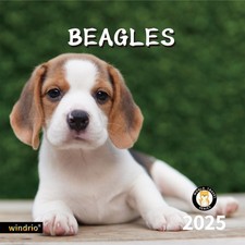 2025 Wall Calendar Beagles January 2025 - December 2025 Full Page Months Thick