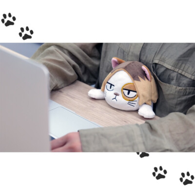 Haikyu!! Kenma Neko Funbaruzu Plush Kozume Kenma H19cm 7.5 Japan