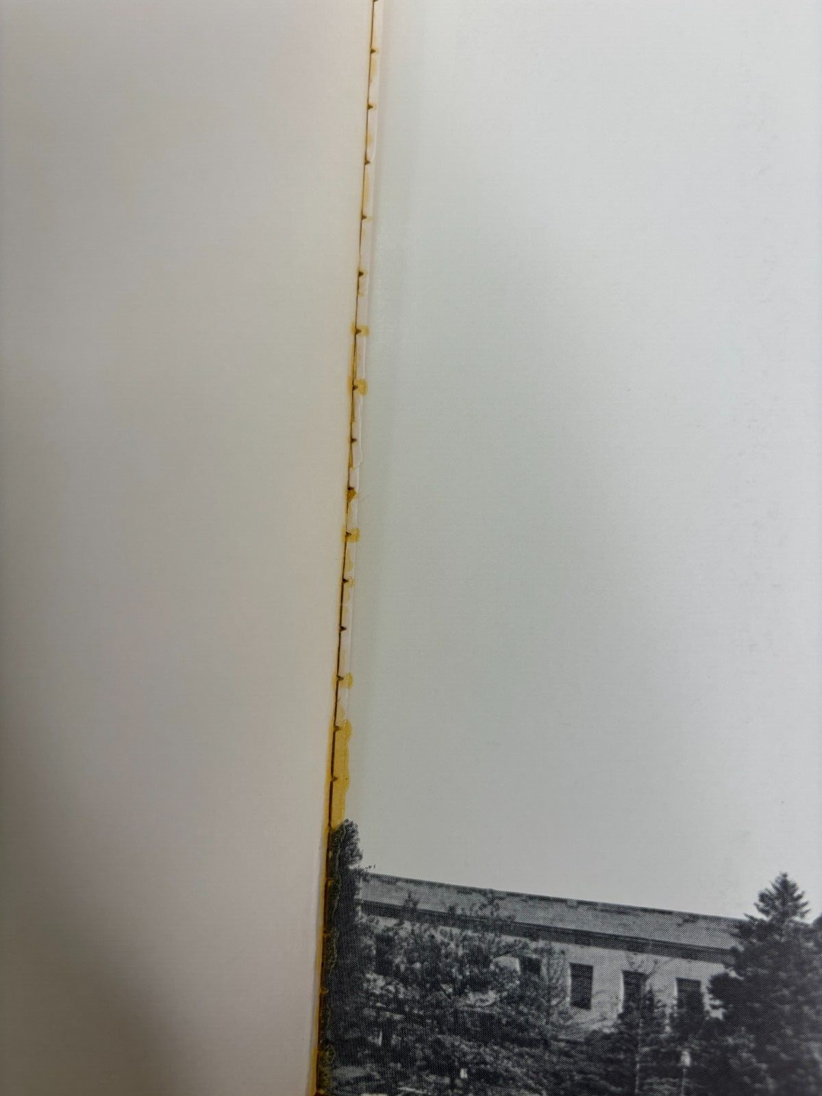 Picture 5 of 13