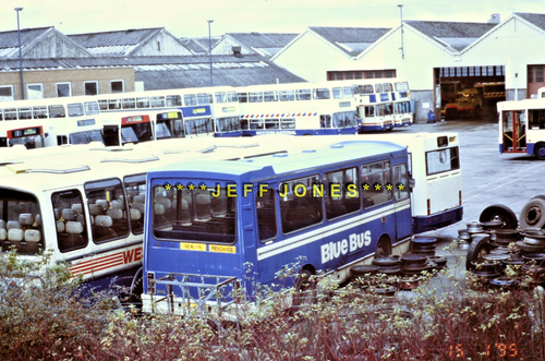 ORIGINAL BUS SLIDE 14811-Western National LHS/WAD.STRG 1565 KRL444W Laira15.1.95