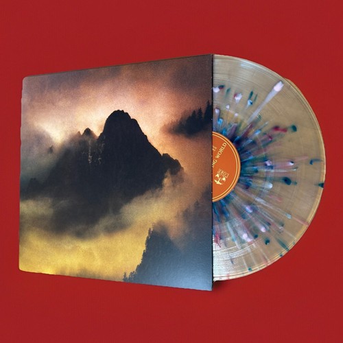 Dead To A Dying World Vinyl Record Elegy Black Metal, Post-Metal, Doom Metal - Foto 1 di 4