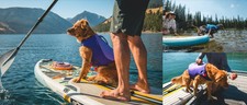 Gilet De Sauvetage Pour Chien Ruffwear Flottant Couleurs Assorties NEUF