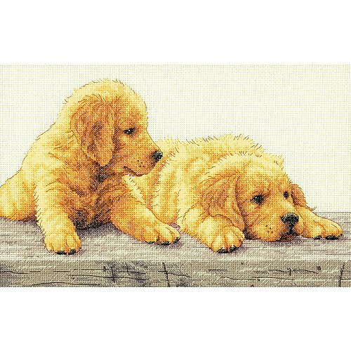 Dimensions Counted Cross Stitch Kit - Golden Retriever Cachorros - 14""X9"" Nuevo - Imagen 1 de 2