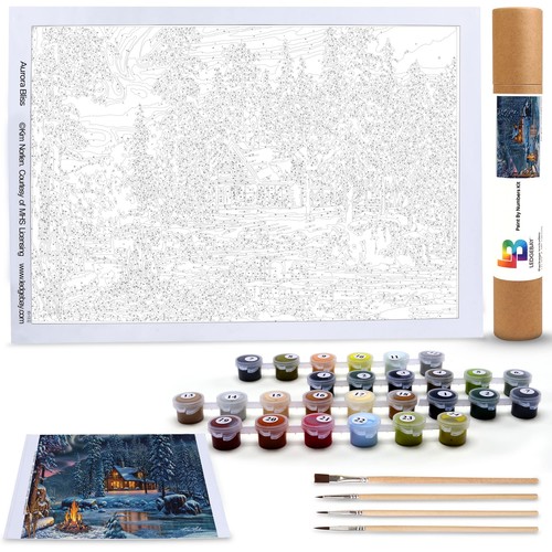 Ledgebay Paint by Numbers Kit for Adults Beginner to Advanced Number