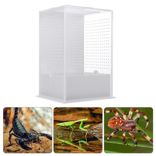 Stick Insect Enclosure High Transparent Reptile Cage Villa Box Terrarium - Picture 5 of 11
