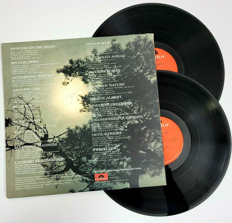 JOHN MAYALL - BACK TO THE ROOTS - ROCK LP *INCLUDES BOOKLET* DOUBLE LP - Imagem 2 de 3