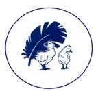Bild 8 von 10