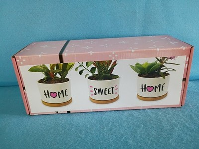 Best Friend Ever Gift Ceramic Succulent Pot Succulent Planter Pots with Drainage