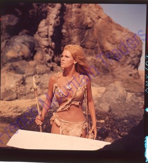 Raquel Welch Original Color Photo Transparency One Million Years BC 3677