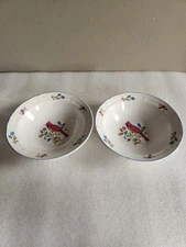 2 Rare Tienshan Stoneware Aviary Soup/Cereal Bowls • Cardinal & Flowers • 7⅛"