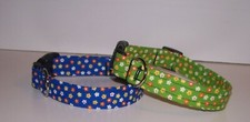 Wet Nose Designs Cute Buttercups Dog Collar Flowers Floral Lime Green or Blue