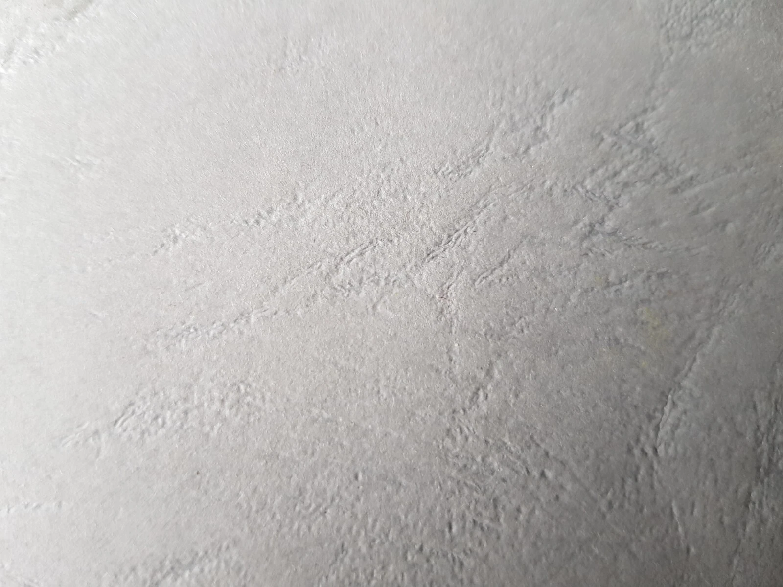Picture 10 of 10