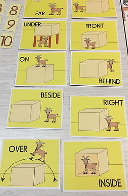 GOAT POSITION & DIRECTION CARDS -LAMINATED - Teaching supplies ...